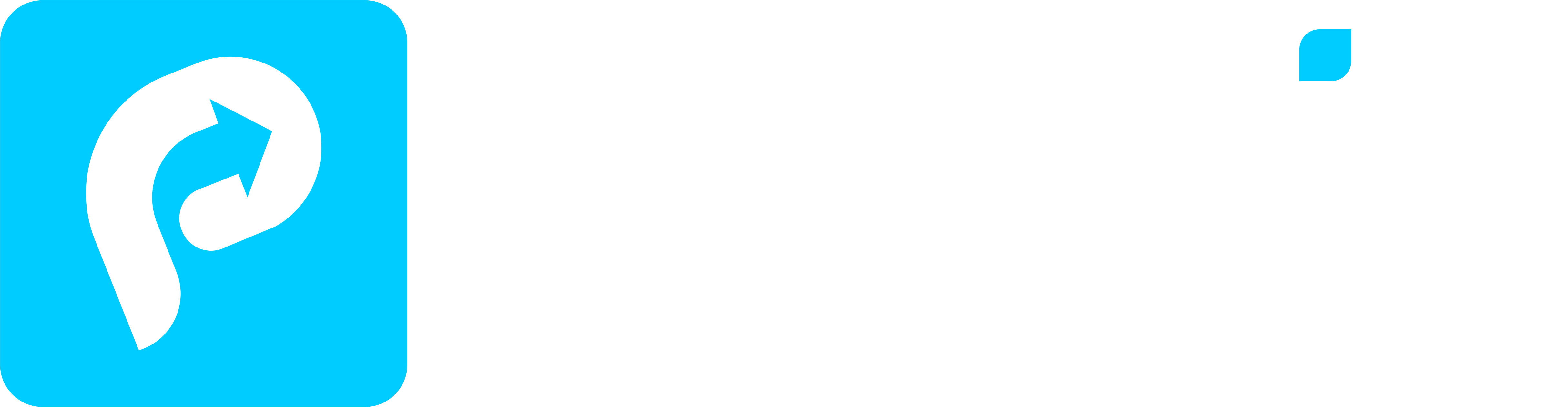 Poztix
